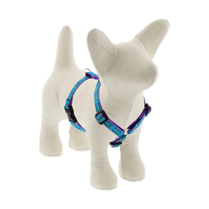 Lupine Pet Dog 1/2 In Wide 12-20 In Roman Harness Original Designs Ra In Song - Image 1