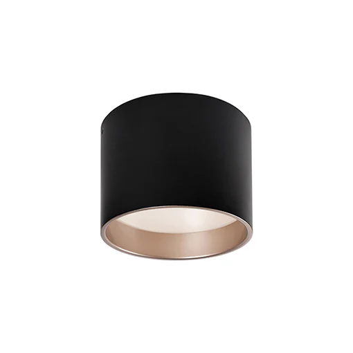 Mousinni Flush Mount - Image 3