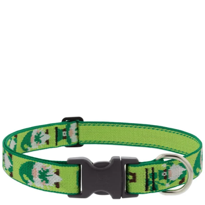 Lupine Pet Dog 1 In Wide 12-20 In Adjustable Collar Microbatch Lucky Gnome - Image 1