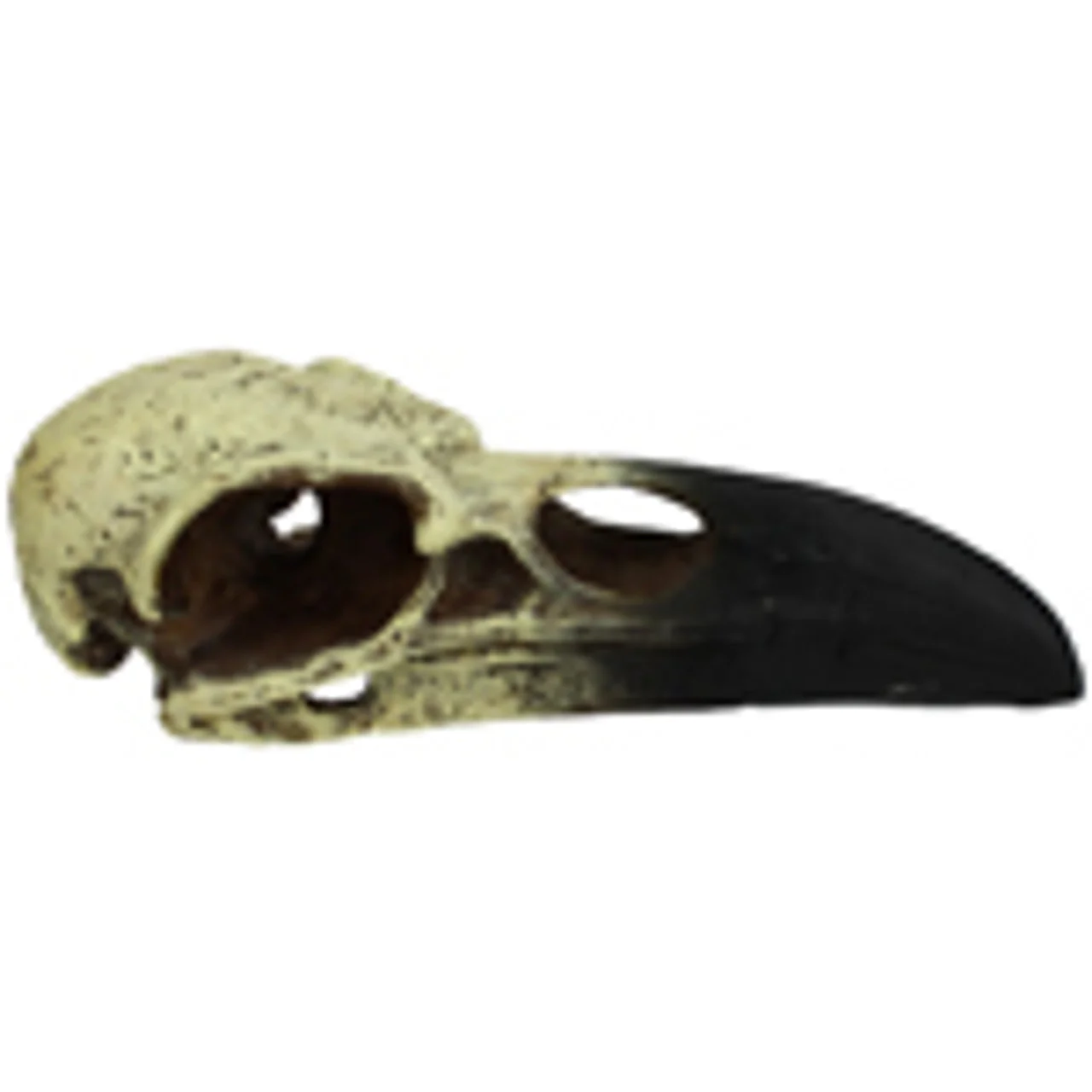 Komodo Raven Skull Hideout Medium - Image 1