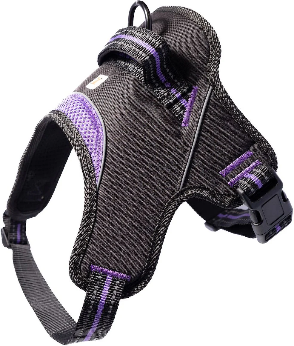 Doggy Tales Hart Dog Harness Purple 50in - Image 1