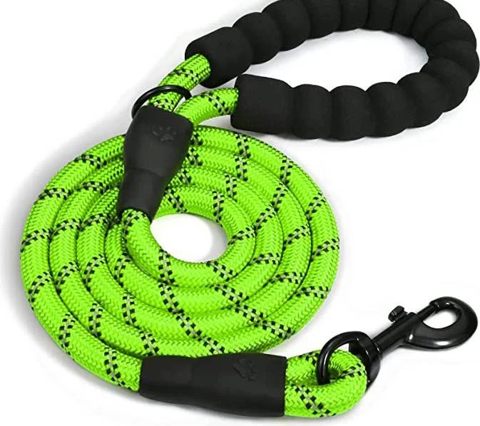 Doggy Tales Braided Dog Leash, 5-ft Lime - Image 1
