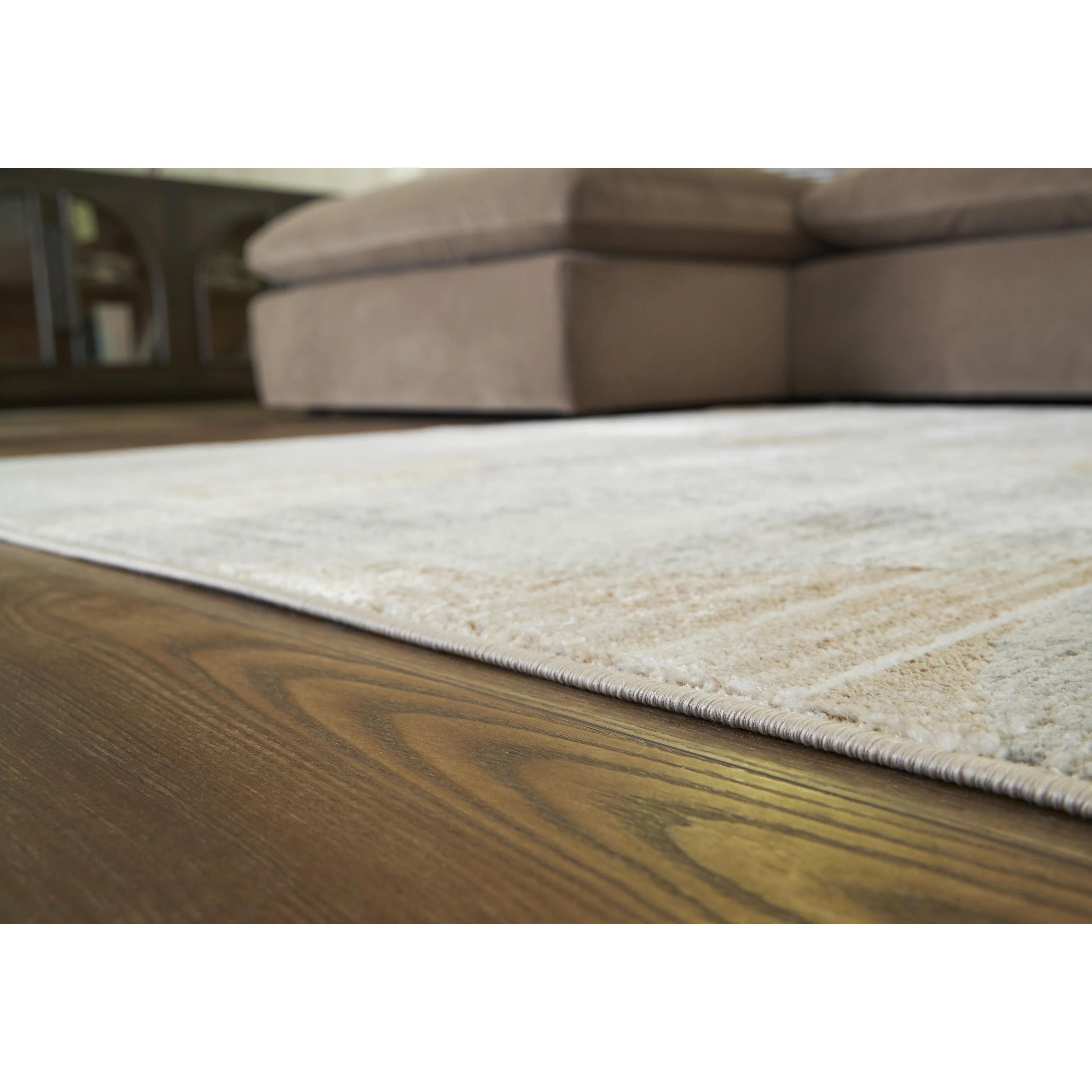 Signature Design by Ashley Truward R406471 Large Rug - Image 2