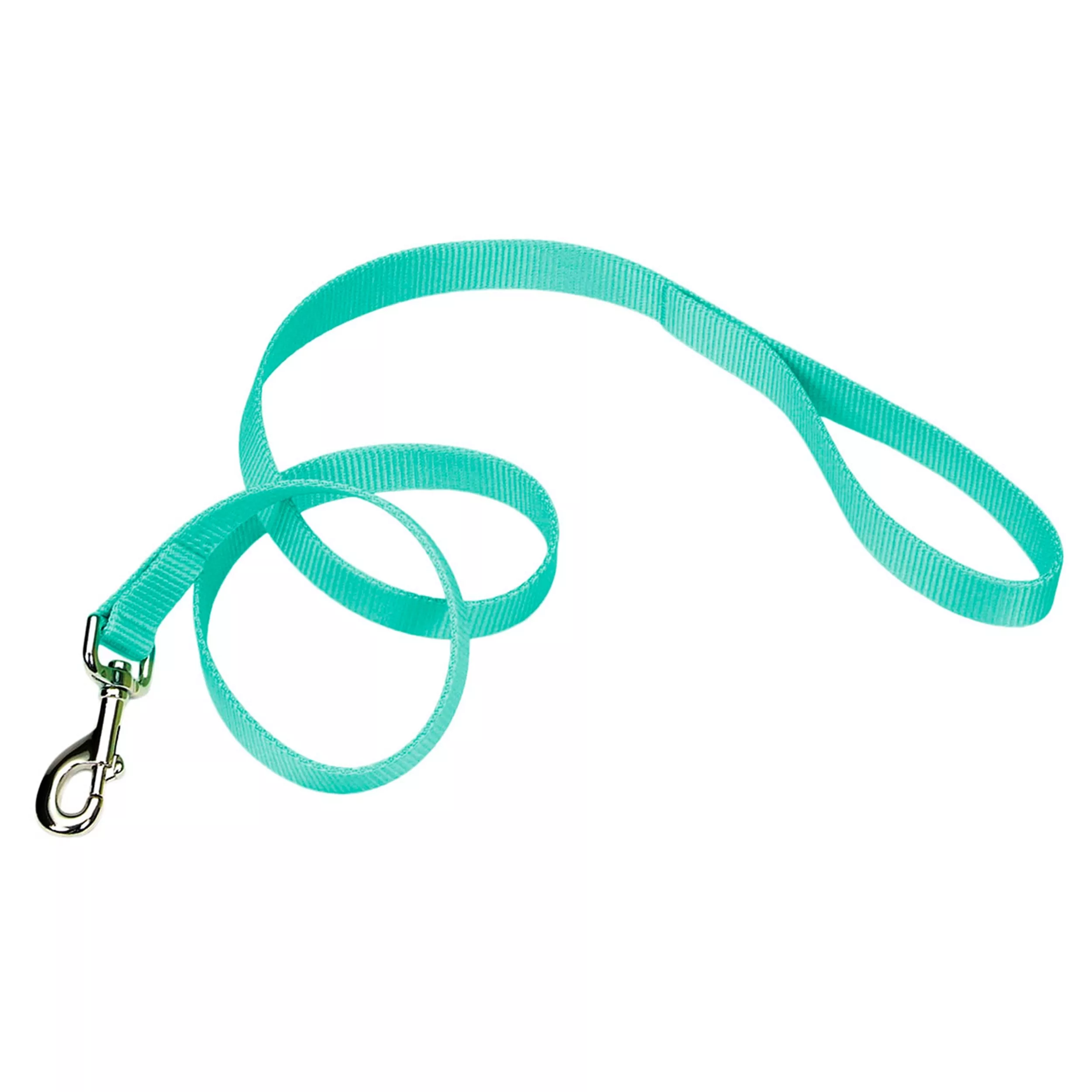 Coastal Single Ply 6ft Long 5/8in Dog Leash Teal - Image 1