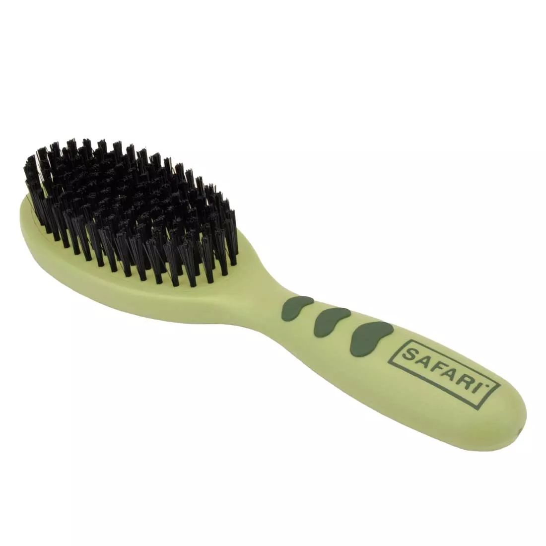 Coastal Safari Bristle Dog Brush Large 9in - Image 1