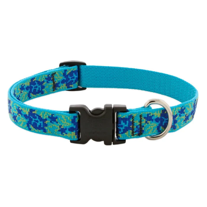 Lupine Pet Dog 3/4 In Wide 15-25 In Adjustable Collar Original Designs Turtle Reef - Image 1