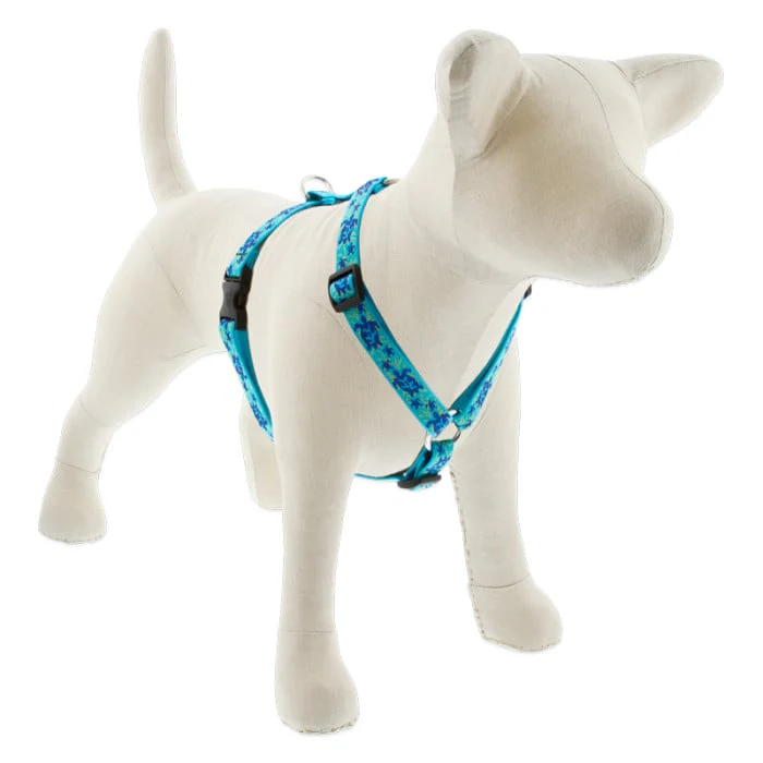 Lupine Pet Dog 3/4 In In Wide 14-24 In Roman Harness Original Designs Turtle Reef - Image 1