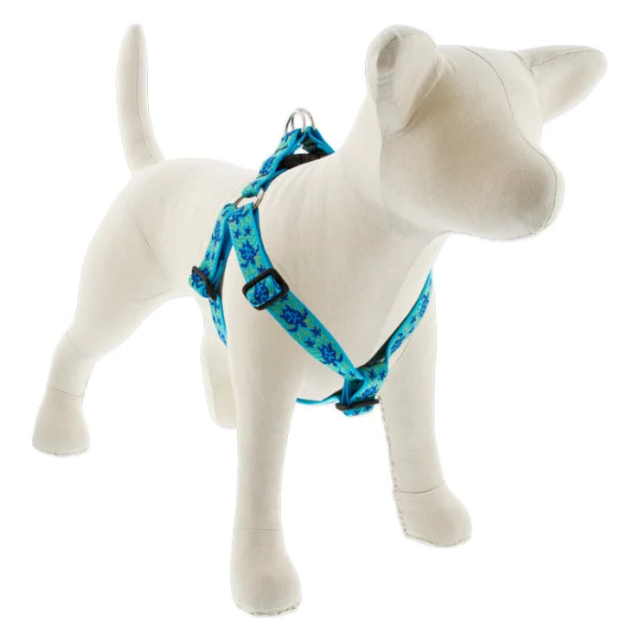 Lupine Pet Dog 1 In Wide 24-38 In Step  In Harness Original Designs Turtle Reef - Image 1