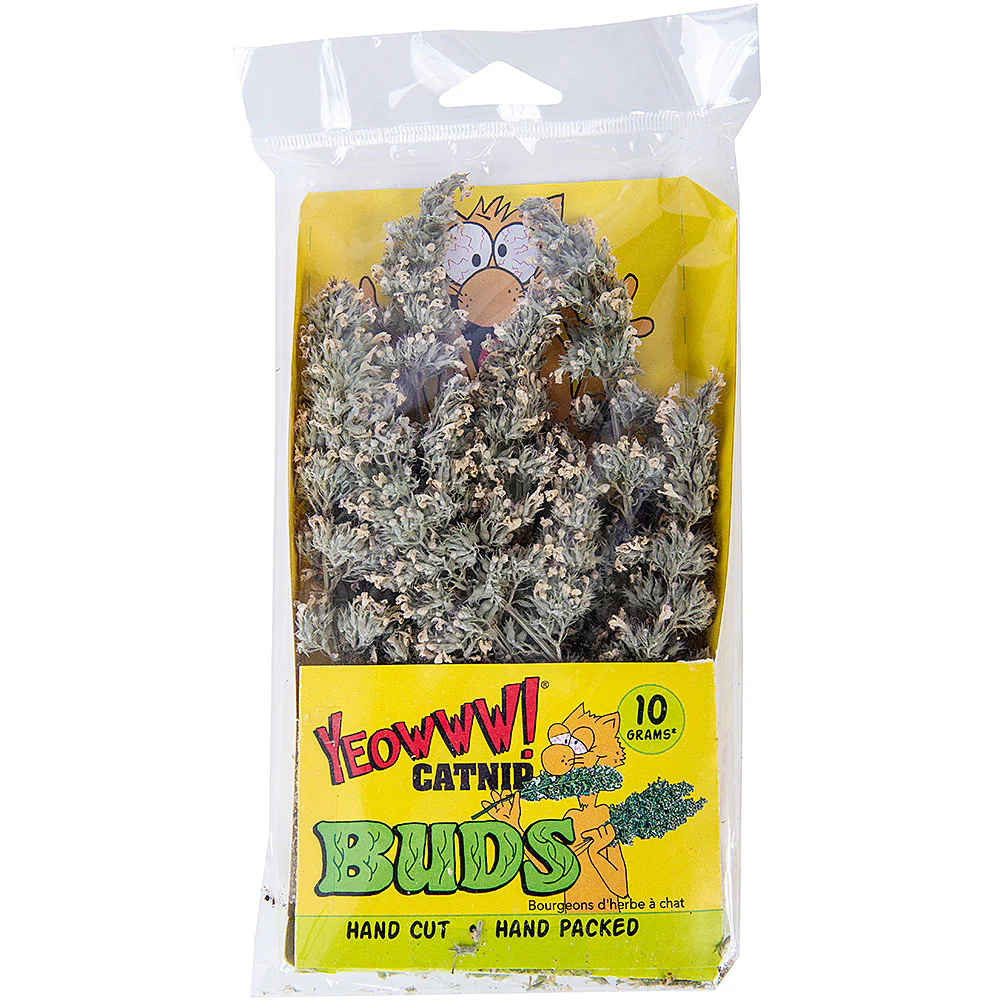 Yeowww! Catnip Buds - Image 1
