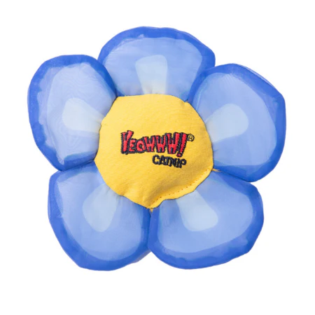 Yeowww! Daisy