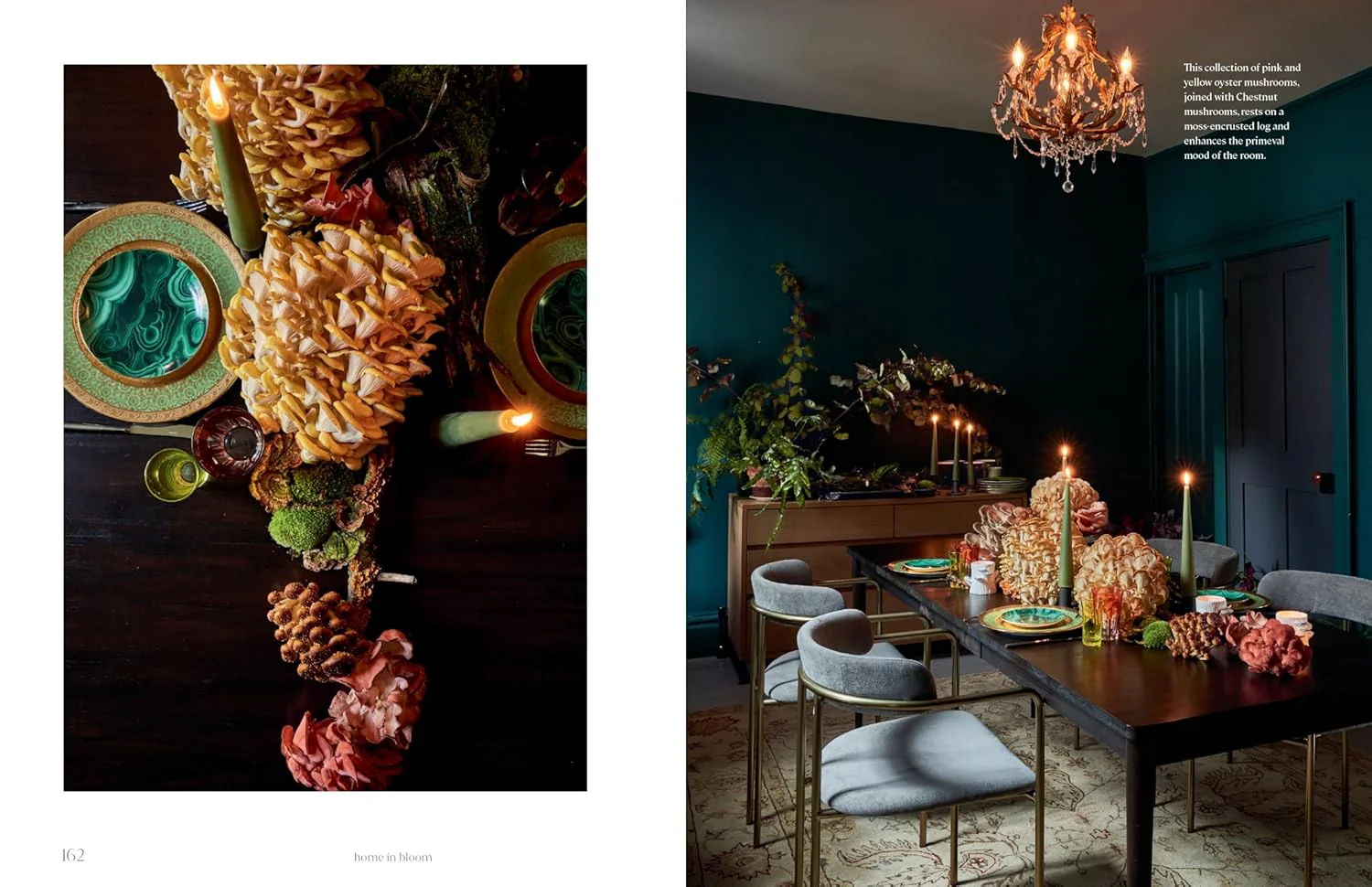 Home in Bloom - Image 3