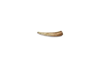 Canophera X-Small Deer Antler - Image 1