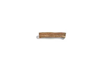 Canophera Medium Deer Antler - Image 1