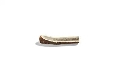 Canophera Large SPLIT Deer Antler - Image 1