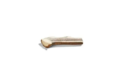 Canophera X- Large SPLIT Deer Antler - Image 1