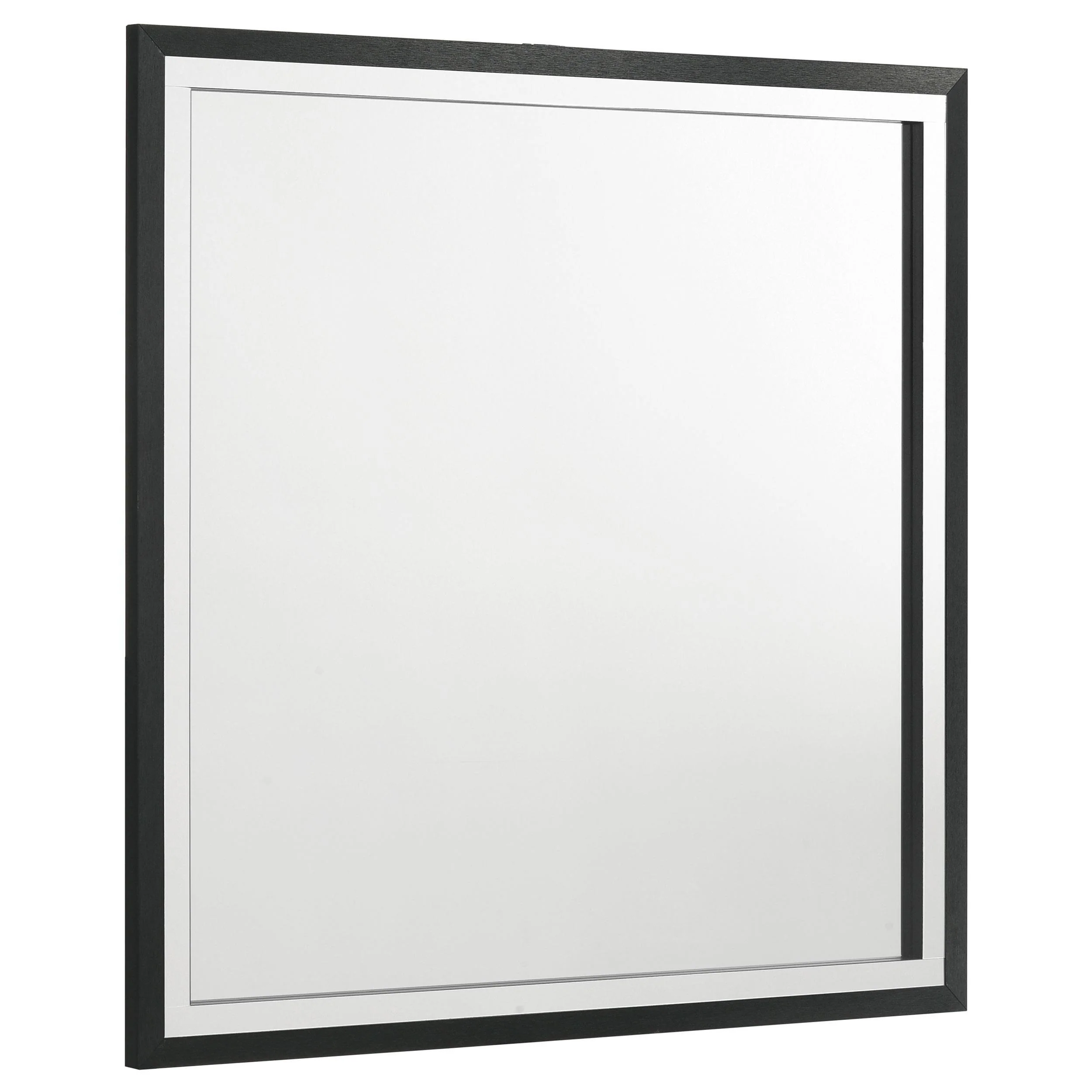 Coaster Furniture Lucia 224994 Dresser Mirror - Black - Image 1