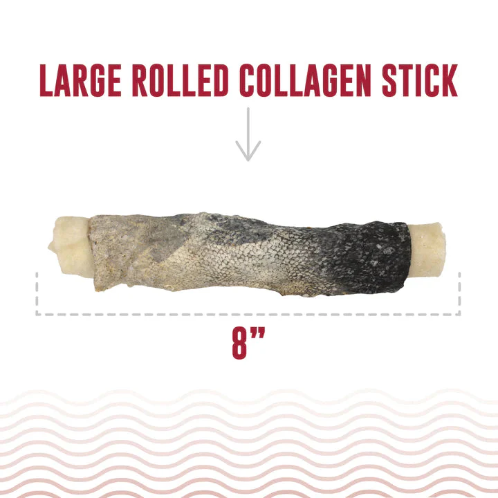 Icelandic+ Beef Collagen Dental Chew Wrapped With Cod Skin 8 in - Image 1