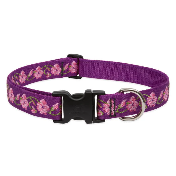 Lupine Pet Dog 1 In Wide 12-20 In Adjustable Collar Original Designs Rose Garden - Image 1