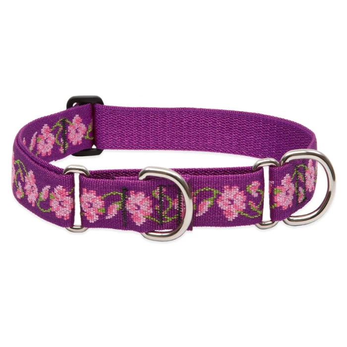Lupine Pet Dog 1 In Wide 15-22 In Martingale Collar Original Designs Rose Garden - Image 1