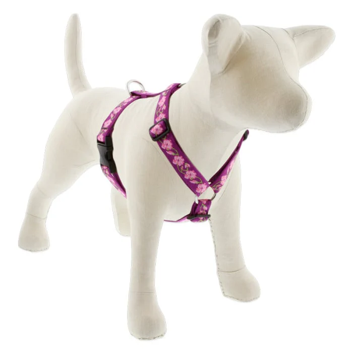 Lupine Pet Dog 1 In Wide 24-38 In Roman Harness Original Designs Rose Garden - Image 1
