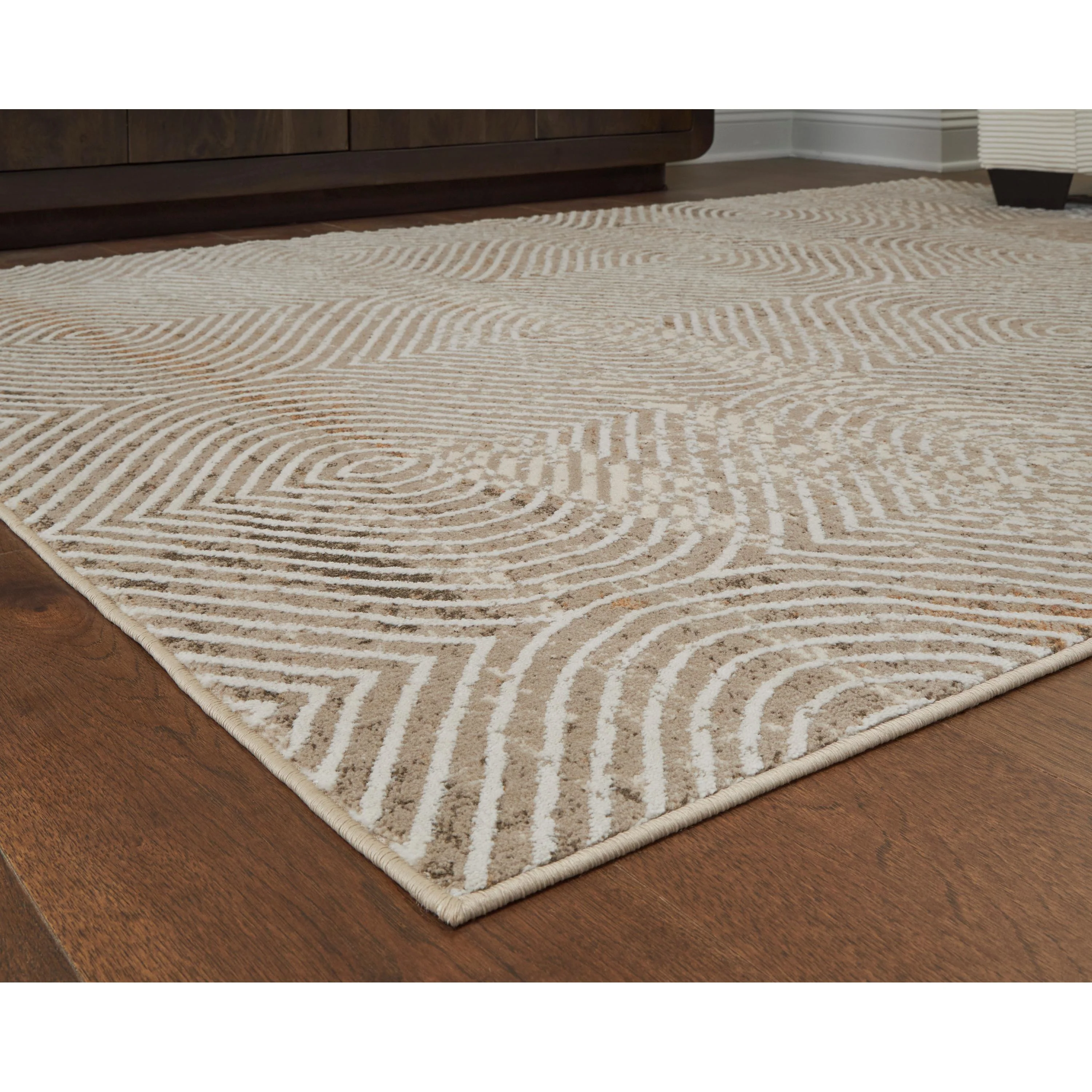 Signature Design by Ashley Bachus R407752 Medium Rug - Image 3