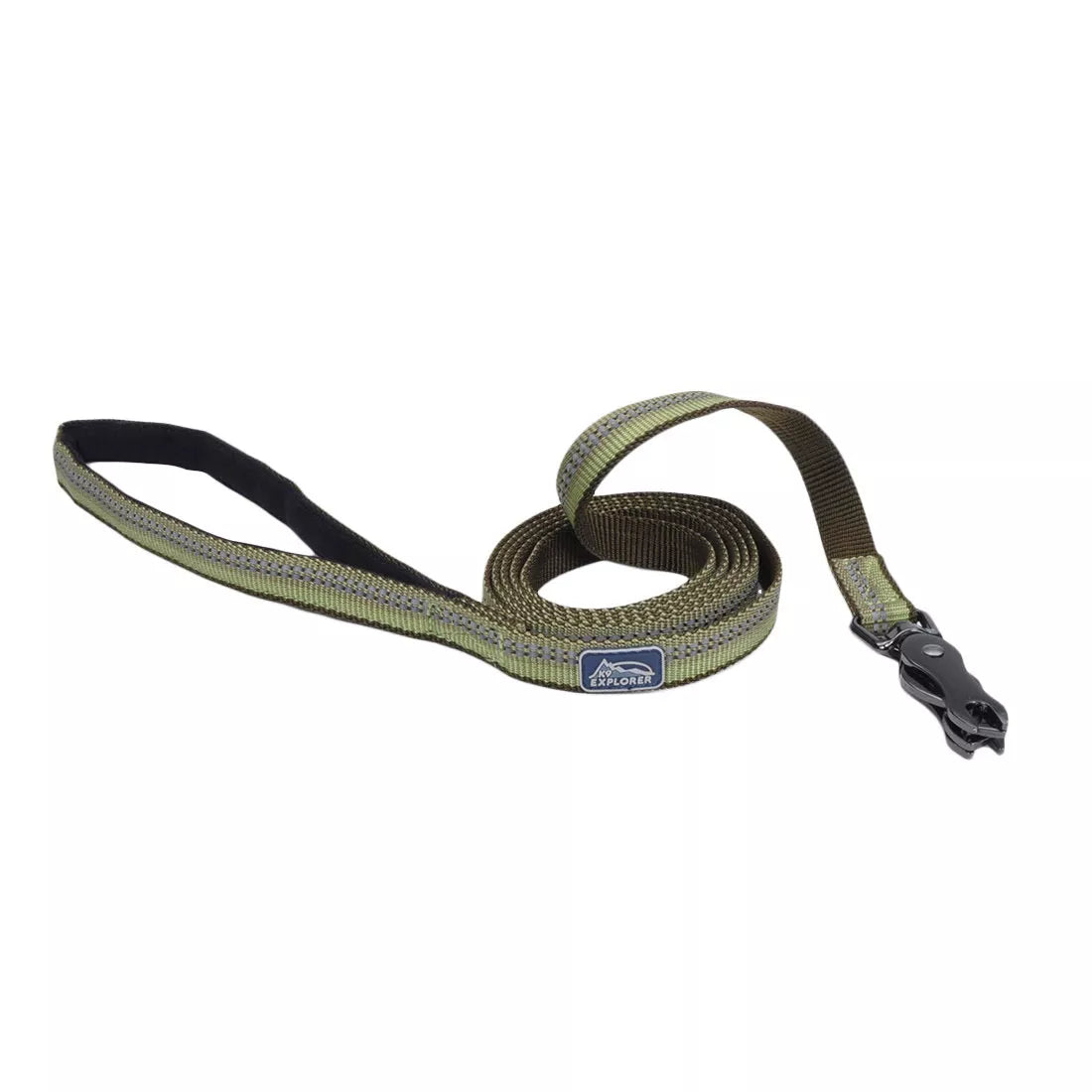 Coastal K9 Explorer 6ft Long 1in Reflective Dog Leash with Scissor Snap Fern - Image 1
