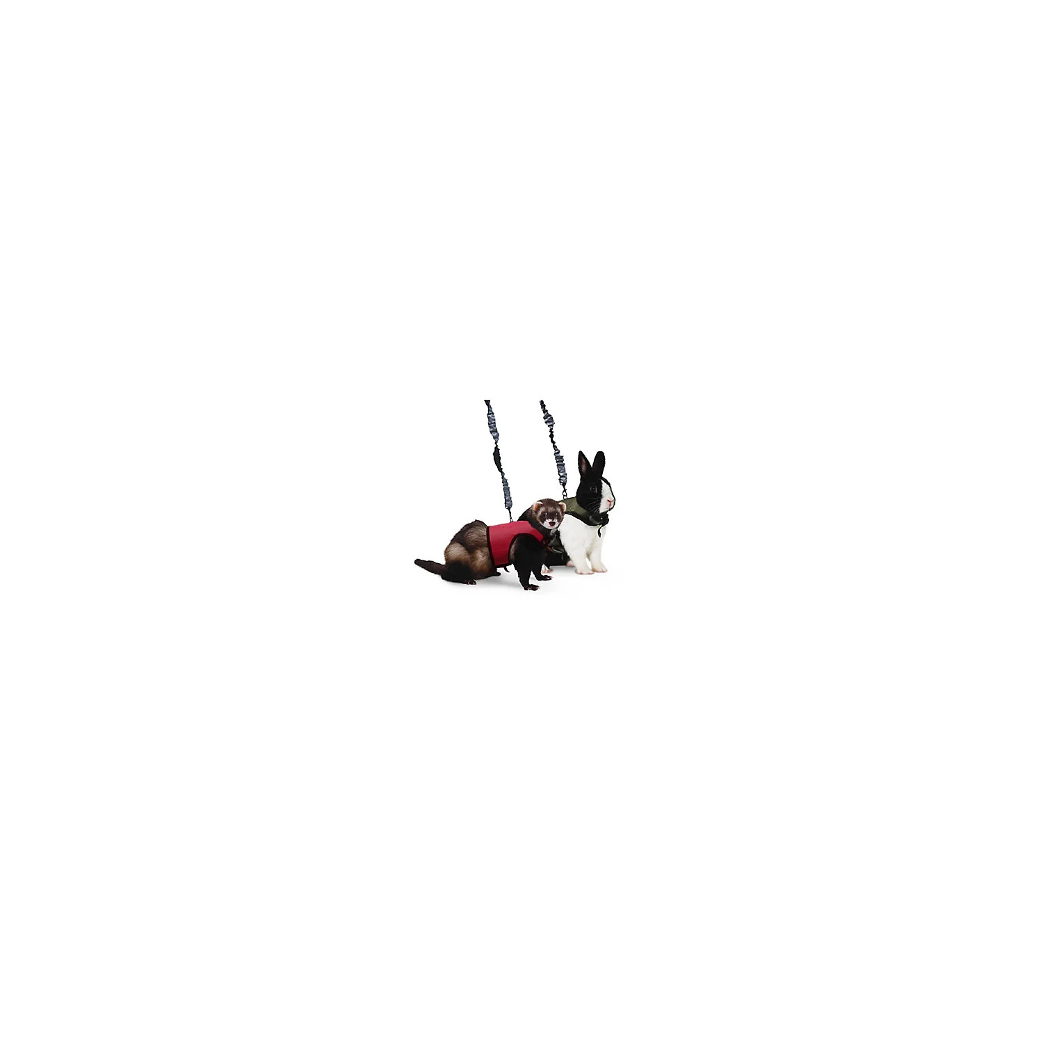 TopDawg Pet Supply Comfort Harness-leash - md - Image 1