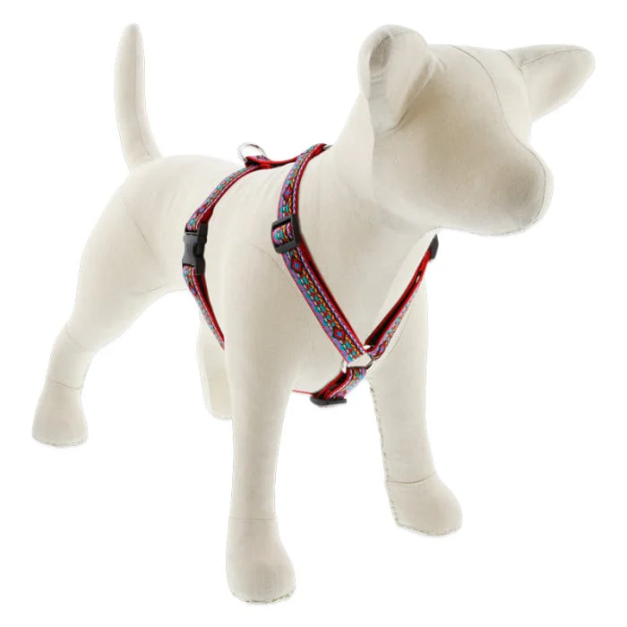 Lupine Pet Dog 3/4 In 20-32 In Roman Harness Original Designs El Paso - Image 1