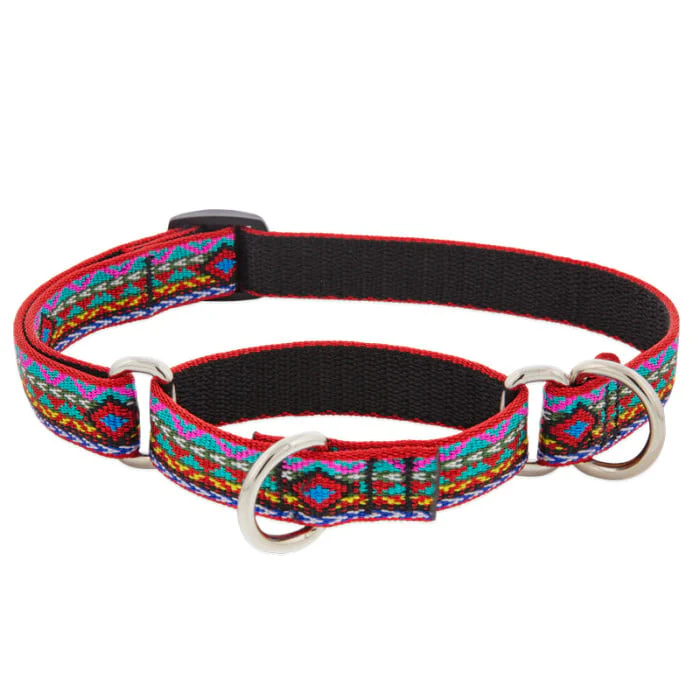 Lupine Pet Dog 3/4 In Wide 10-14 In Martingale Collar Original Designs El Paso - Image 1