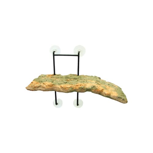 Zoo Med Laboratories Turtle Dock® Small Turtle Pond Dock® 5 X 11.25 Inch - Image 1