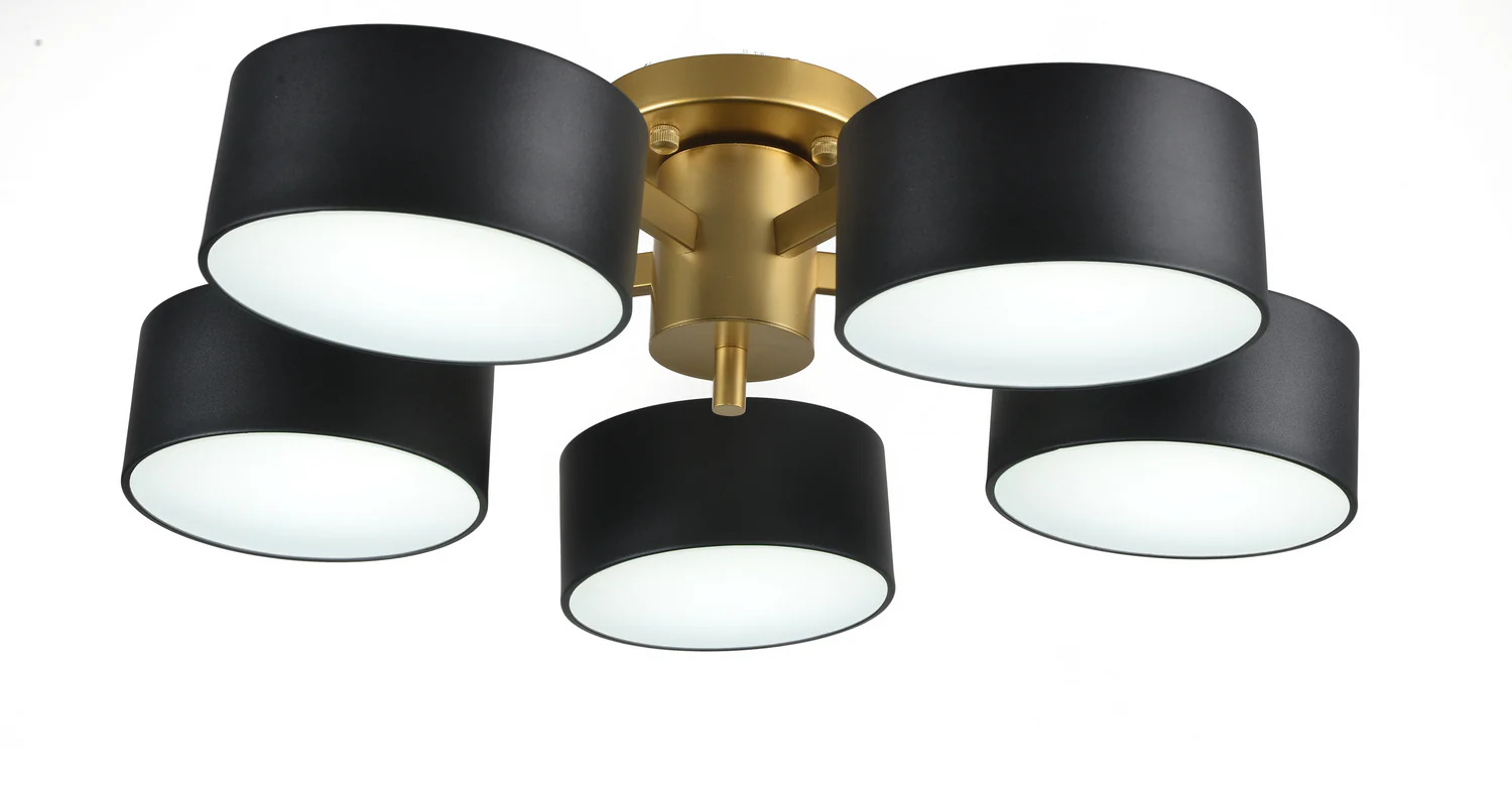 Dunlop Flush Mount - Image 1