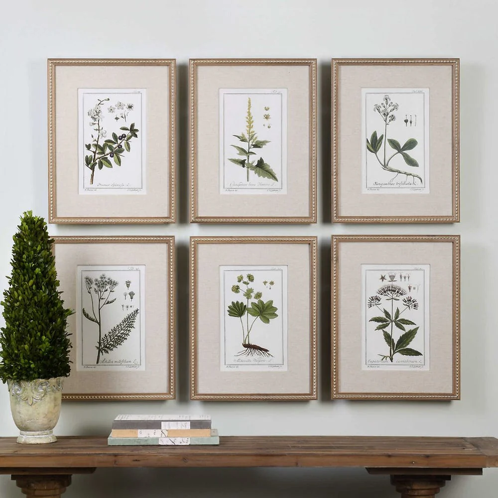 Garden Botanicals - Image 2