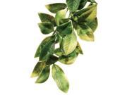 Exo Terra Plastic Terrarium Plant  Large  Mandarin - Image 1