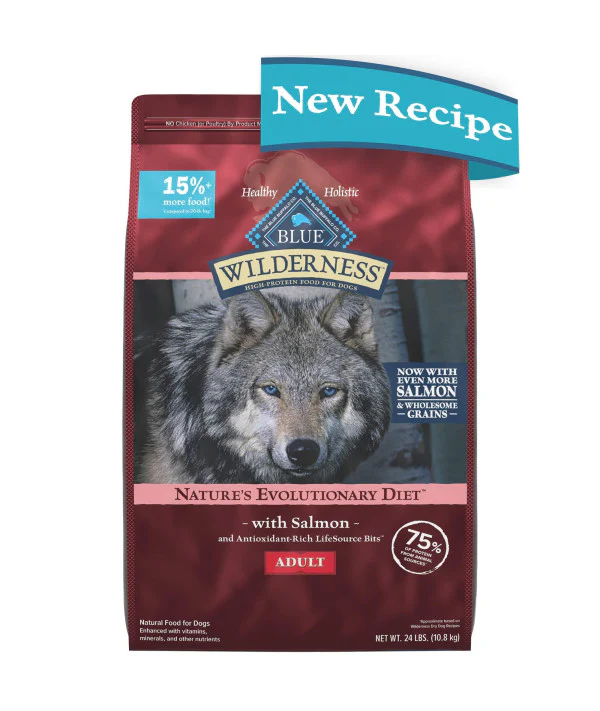 Blue Buffalo Wilderness High Protein Natural Adult Dry Dog Food Plus Wholesome Grains, Salmon 24 lb - Image 1