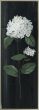 White Country Botanical I & II SKU AFF46560 & AFF46561 - Image 2