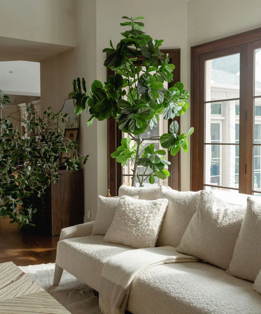 Murphy Sofa - Image 2