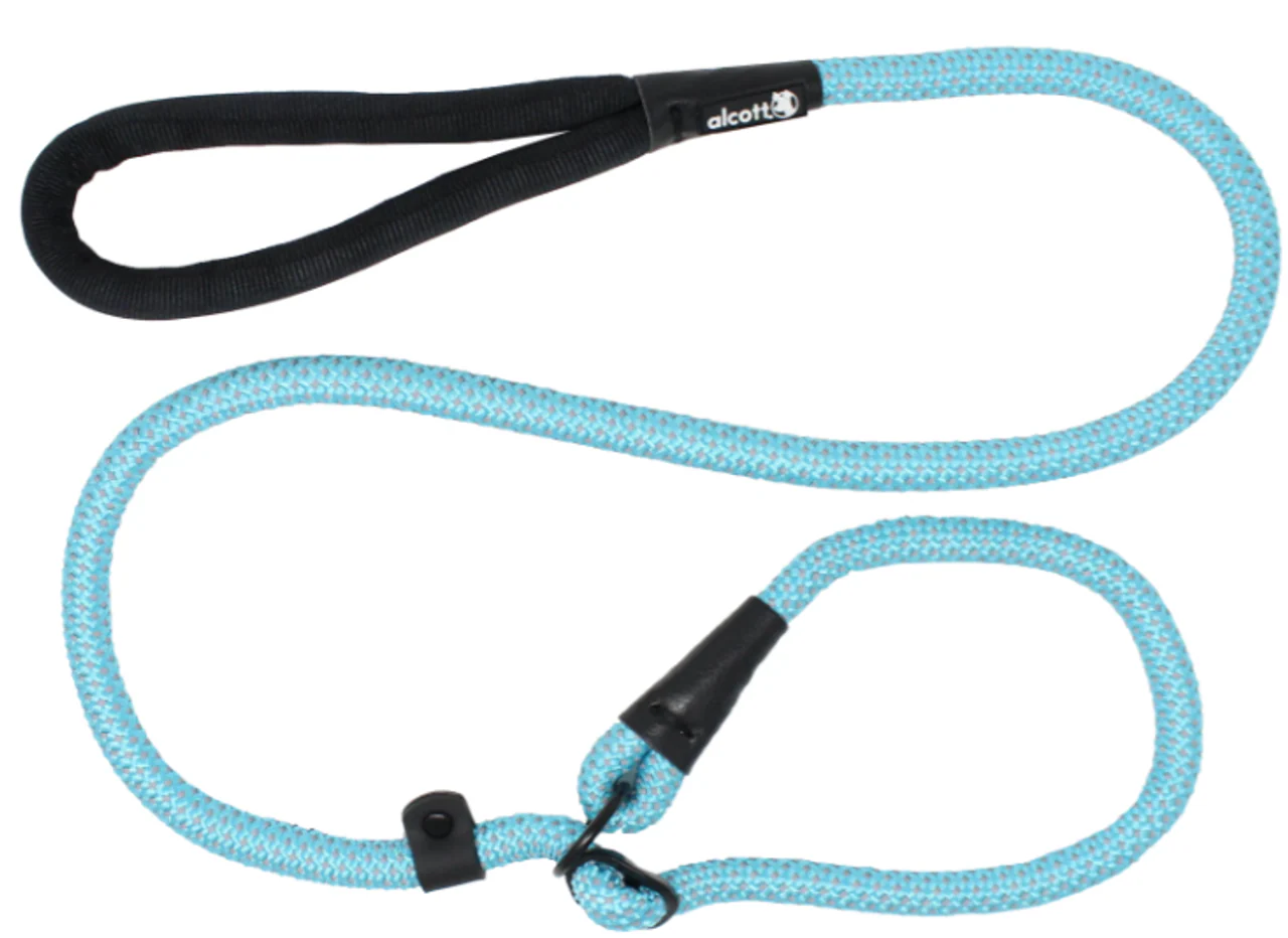 Alcott Slip Lead Large Blue - Image 1