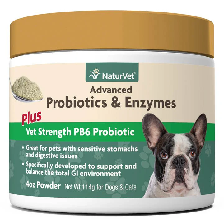 Naturvet Advanced Probiotic & Enzymes Powder For Dogs 4 Ounce - Image 1