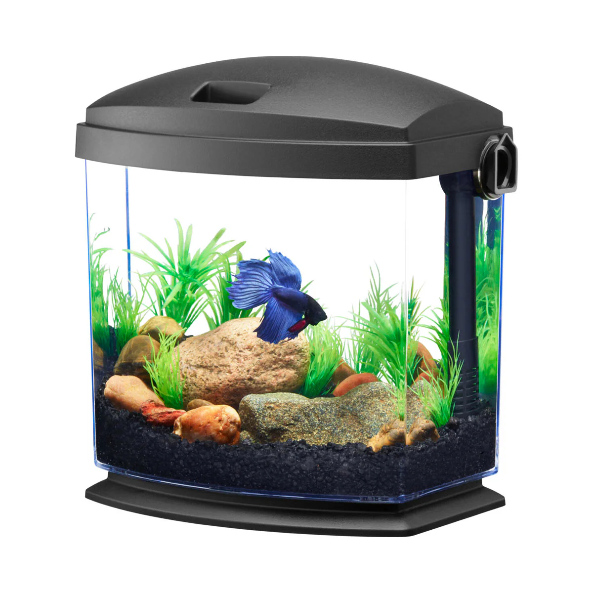 Aqueon BettaBow Tank with Quick Clean Technology, 1 Gallon - Image 1
