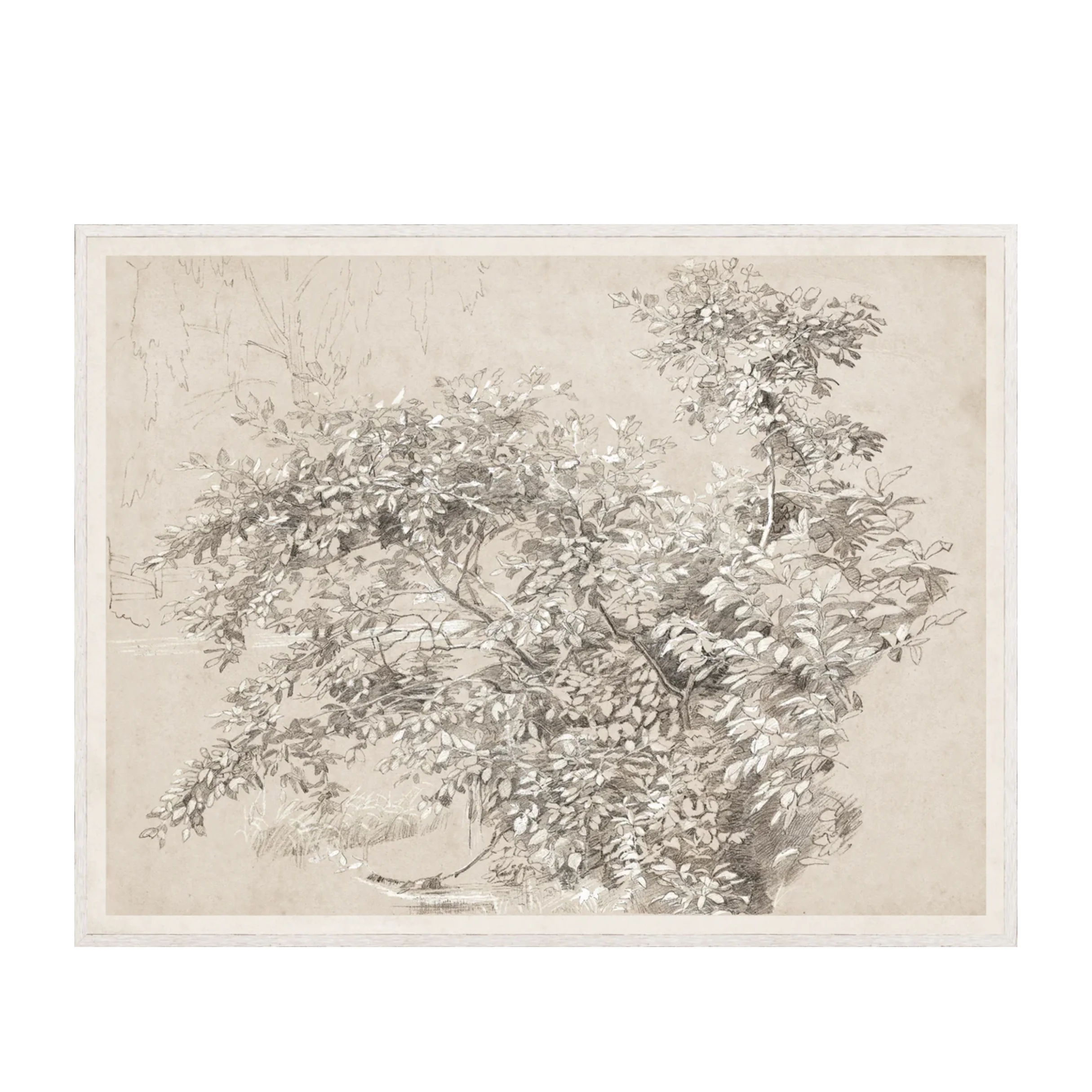 Light and Shadow - Image 1