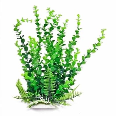 AQUATOP PD-BH31 6 Inch Bacopa-like Aquarium Plant with Weighted Base - Image 1