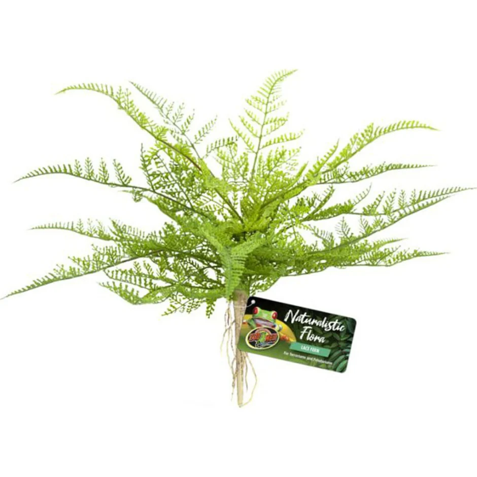 Zoo Med Laboratories BU-62 Naturalistic Flora Lace Fern - Image 1