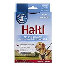 The Company of Animals Halti No-Pull Harness  Medium - Image 1