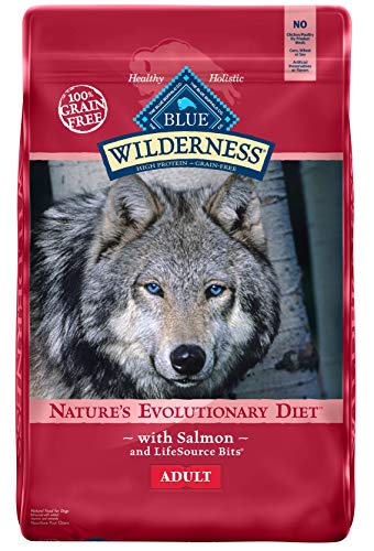 Blue Buffalo Wilderness High Protein Grain Free Natural Adult Dry Dog Food Salmon 24-lb - Image 1