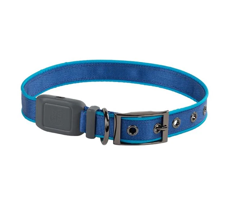 Nite Ize NiteDog Rechargeable LED Collar, Blue, Medium - Image 1
