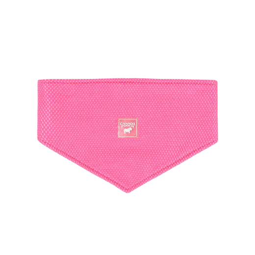 Canada Pooch Chill Seeker Cooling Bandana, Neon Pink Medium - Image 1