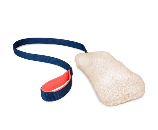 Coachi Chase & Crinkle Toy for Dogs - Image 1