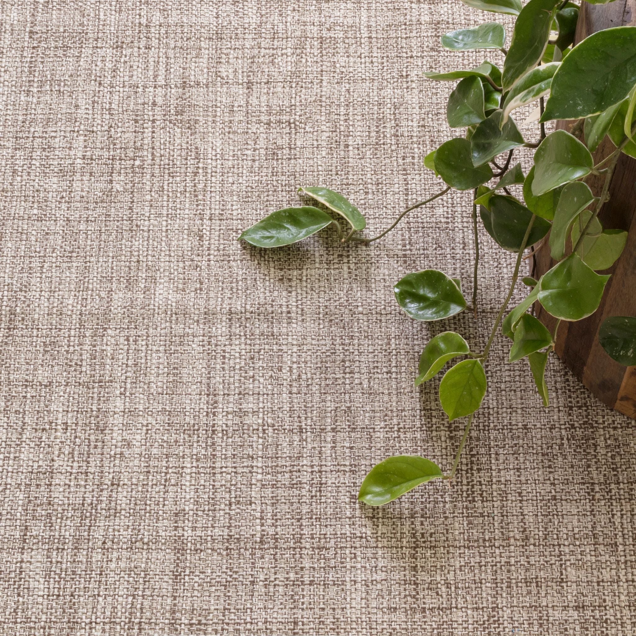 Marled Brown Handwoven Cotton Rug - Image 2