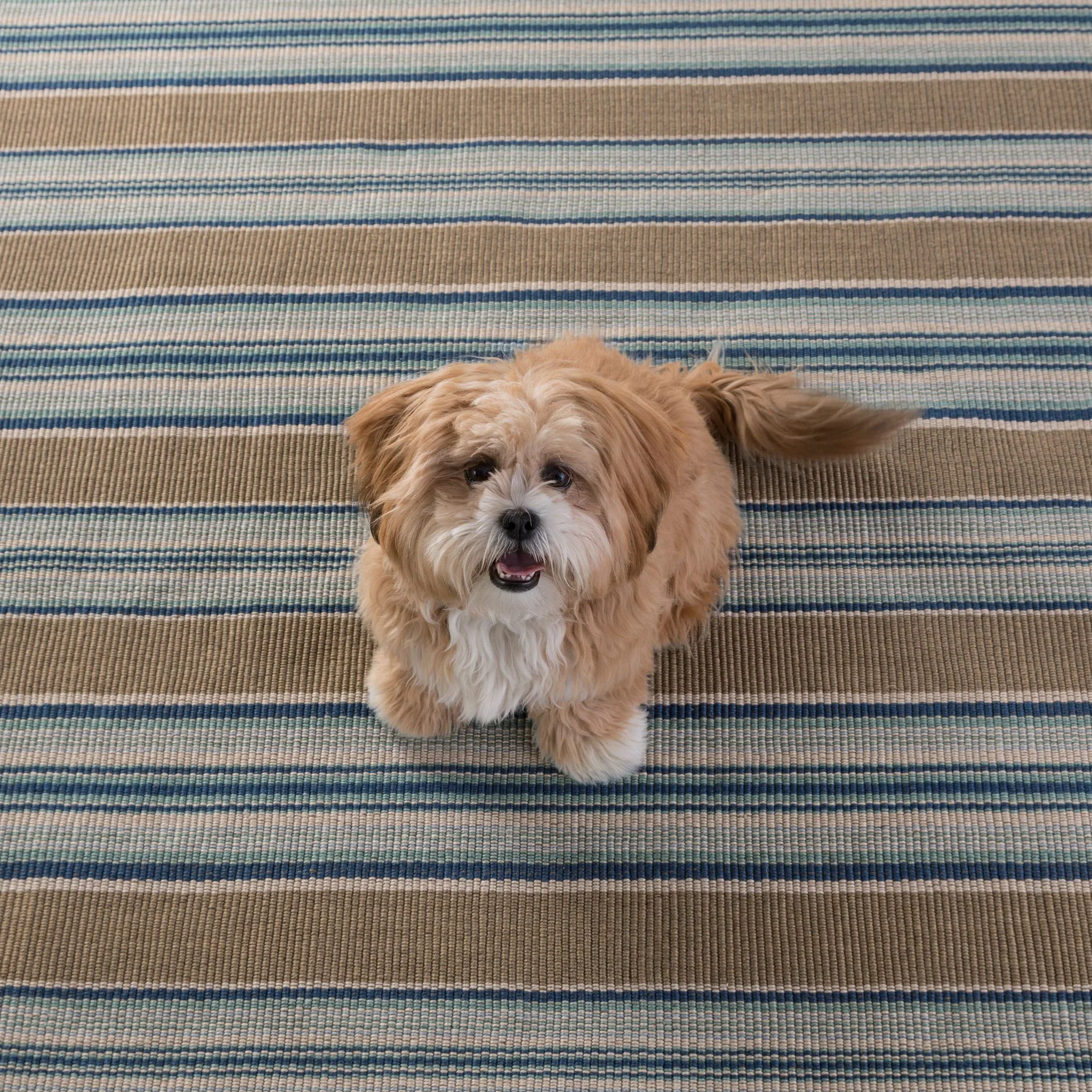 Blue Heron Stripe Handwoven Indoor/Outdoor Rug - Image 2