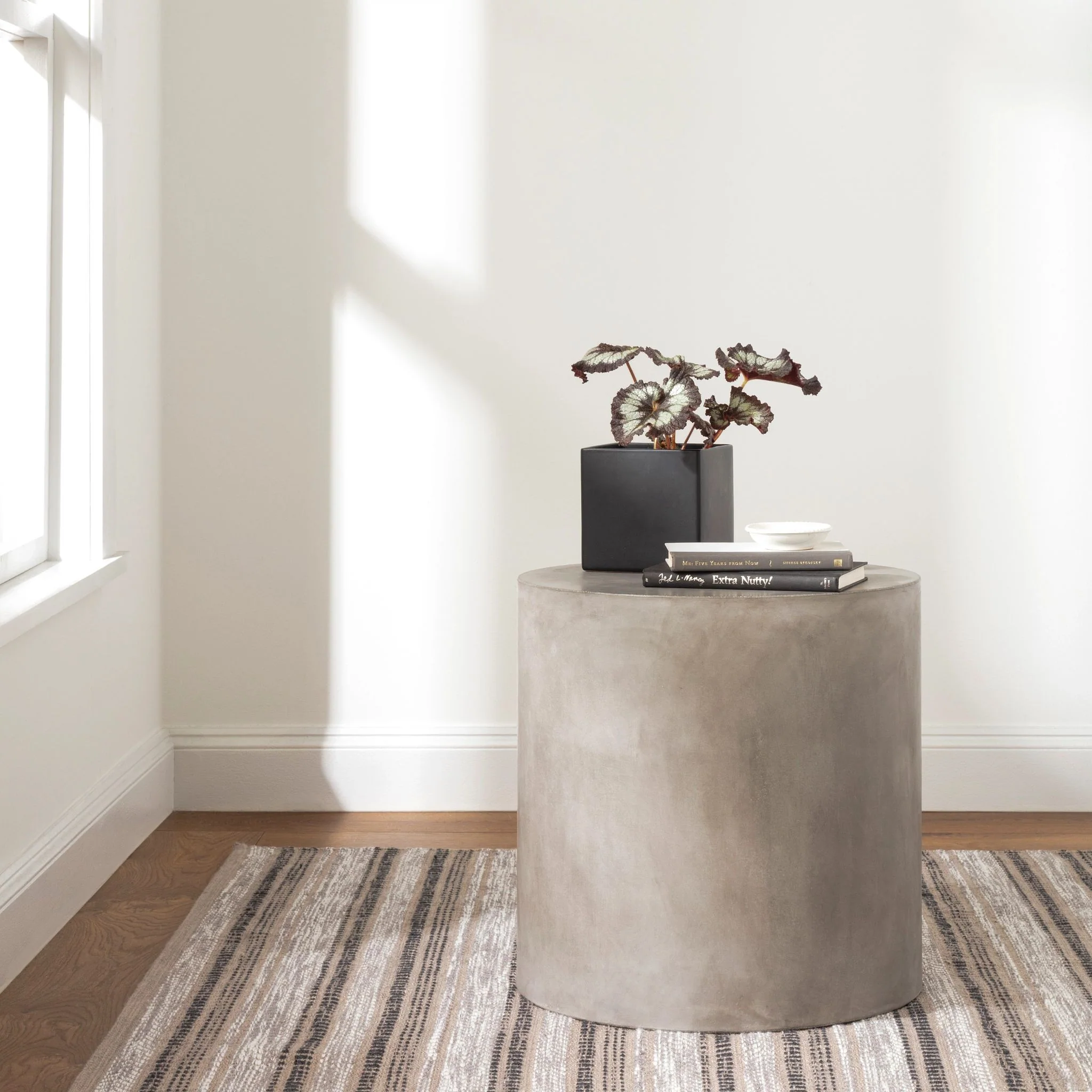 Sooner Than Later Neutral Handwoven Indoor/Outdoor Rug - Image 3